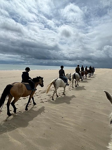 CENTRE EQUESTRE VAL DE SAIRE - REVILLE - 10