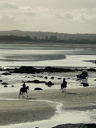 CENTRE EQUESTRE VAL DE SAIRE - REVILLE - 8