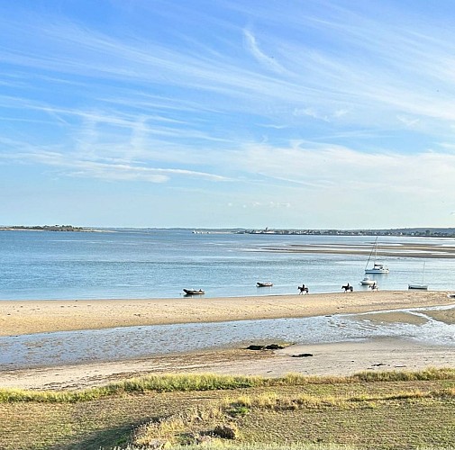 CENTRE EQUESTRE VAL DE SAIRE - REVILLE - 9