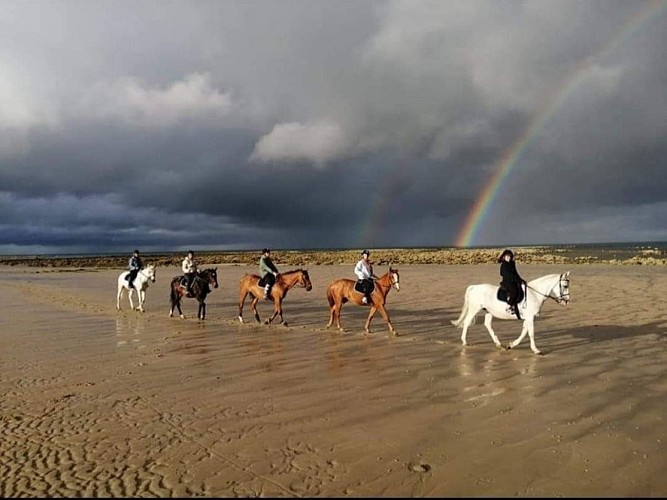 CENTRE EQUESTRE VAL DE SAIRE - REVILLE - 2