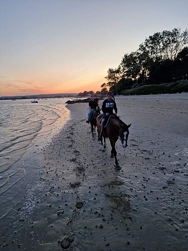 CENTRE EQUESTRE VAL DE SAIRE - REVILLE - 4