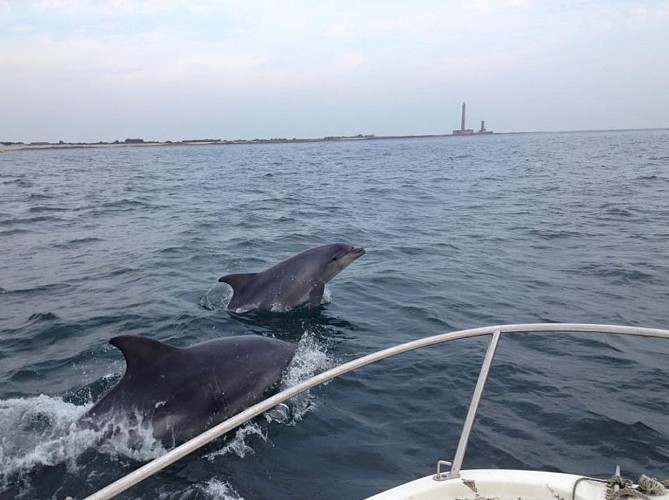 barfleur-vedette-pointe-de-barfleur-10