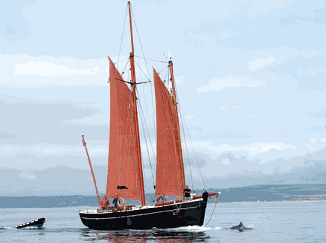 carteret-neire-maove- 2