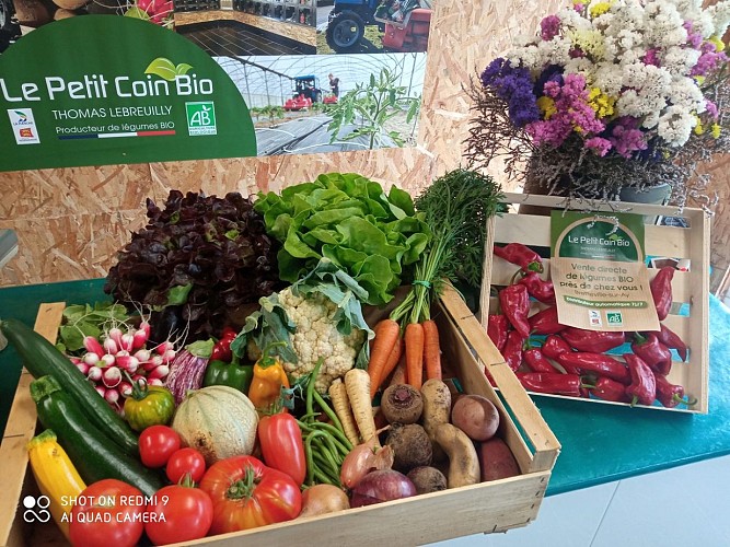 Légumes Bio Lebreuilly