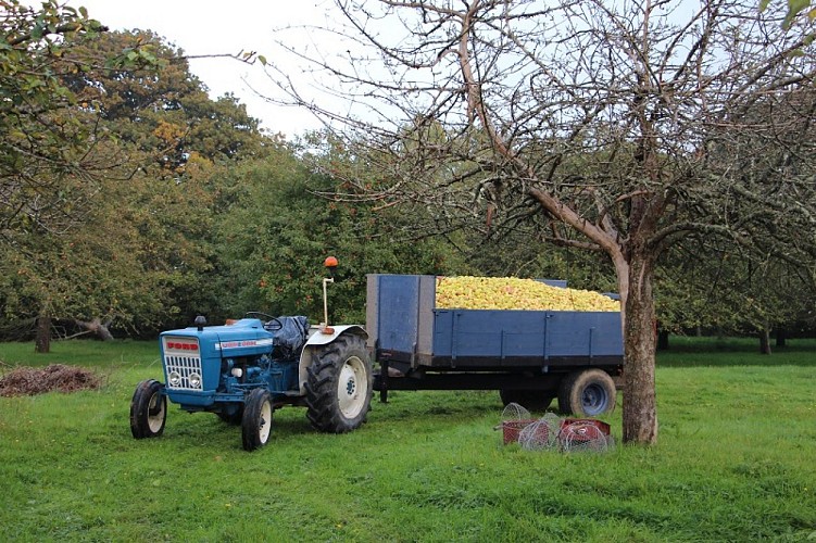 Ferme du Vieux Presbytère
