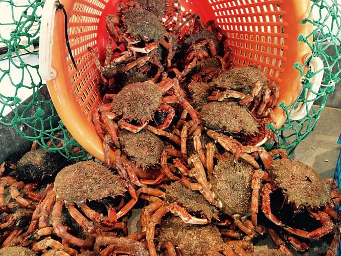 Ô Gré des Vents - Zone Conchylicole