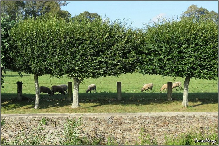 chateau de gratot (16)