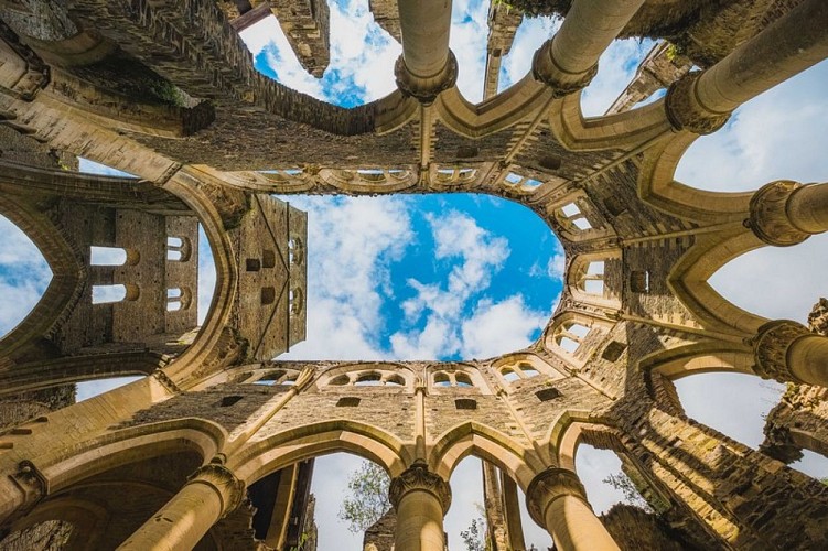 abbaye de hambye teddy bear photos (8)