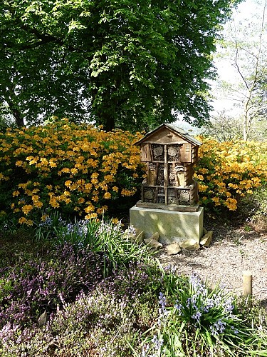 Avranches-jardin-des-plantes (2)