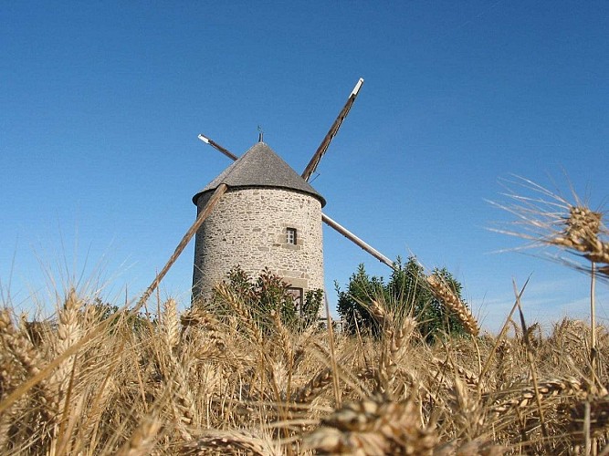 moidrey-moulin-de-moidrey (2)