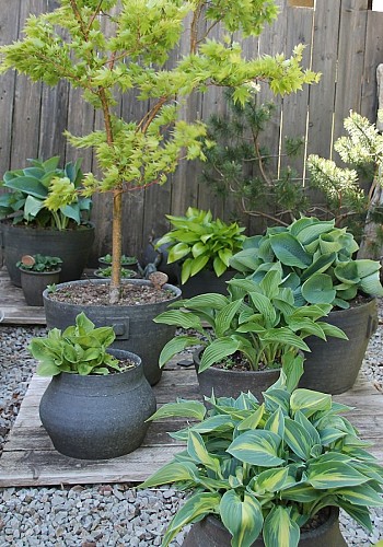 JARDIN DE LA POTERIE (2)(1)