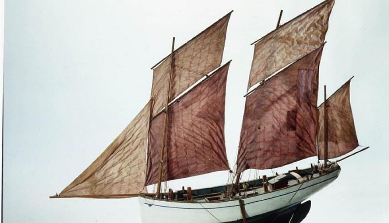 Le MSM-Musée de la mer et de l'écologie-2©MSM 1888