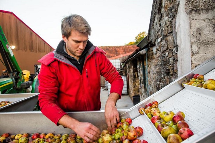 Rauville La Bigot - EARL Les Vergers de la Passion - 3