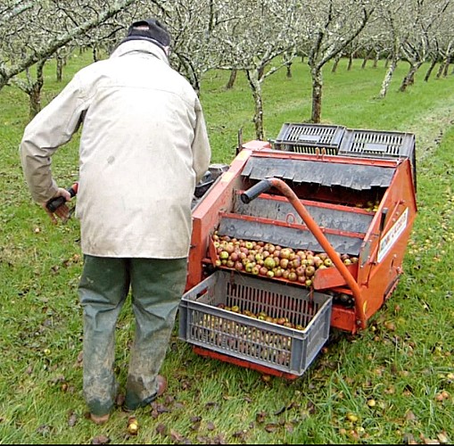 rauville-la-bigot-les-vergers-de-la-passion-6