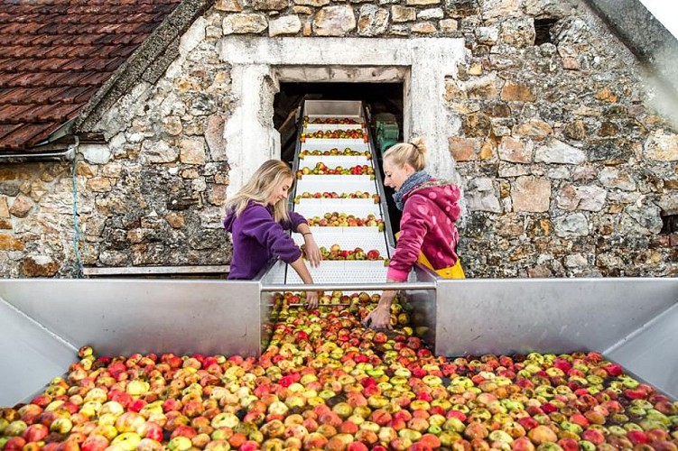 Rauville La Bigot - EARL Les Vergers de la Passion 2