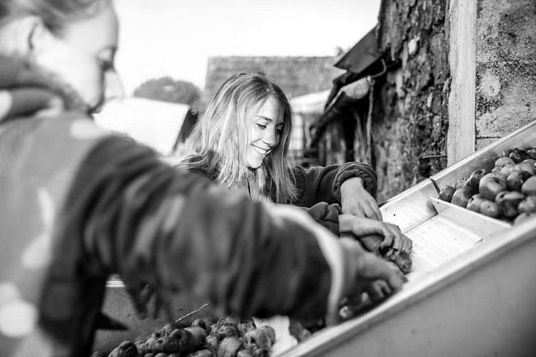 Rauville La Bigot - EARL Les Vergers de la Passion - 4