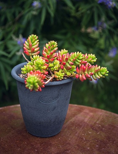 10082018 - 2863-B.Jeanne