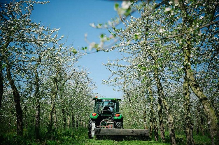 Sotteville_Théo Capelle_pommiers-017