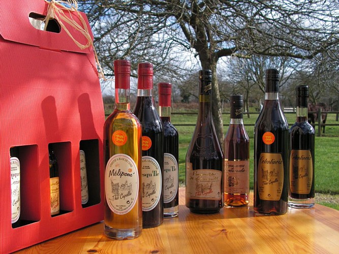 CIDRERIE THEO CAPELLE