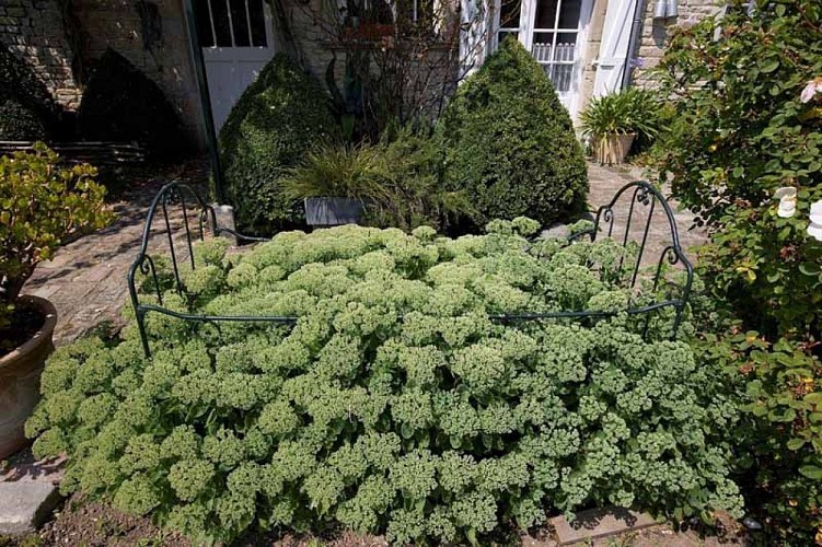 Jardin du Marais - Audouville-la-Hubert 1
