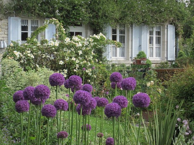 2013_AUDOUVILLE LA HUBERT_Jardin du Marais (3)