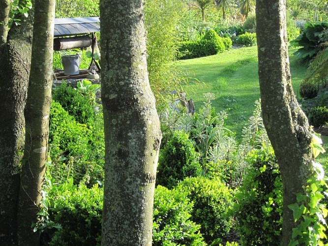 2013_ANDOUVILLE LA HUBERT_Jardin du Marais (4)