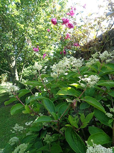 brucheville-le-jardin-du-presbytere-5