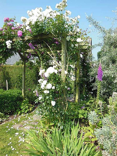 Jardin Presbytère BRUCHEVILLE (2)