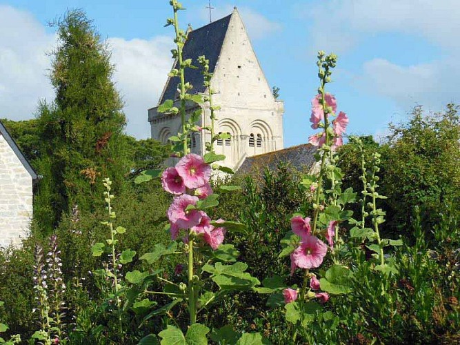 Jardin Presbytère BRUCHEVILLE (8)