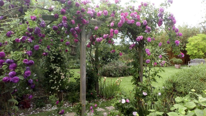 brucheville-le-jardin-du-presbytere-2