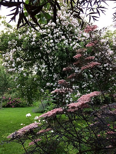 jardin-7-chenes-lessay--3-