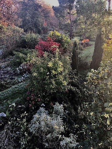 jardin-7-chene-lessay