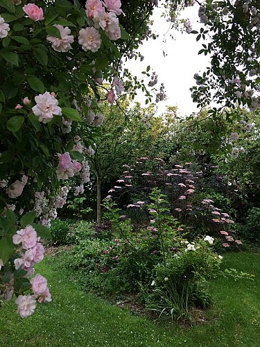 jardin-7-chenes-lessay--13-