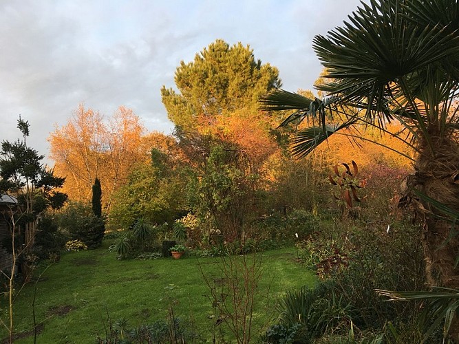 jardin-7-chenes-lessay--14-