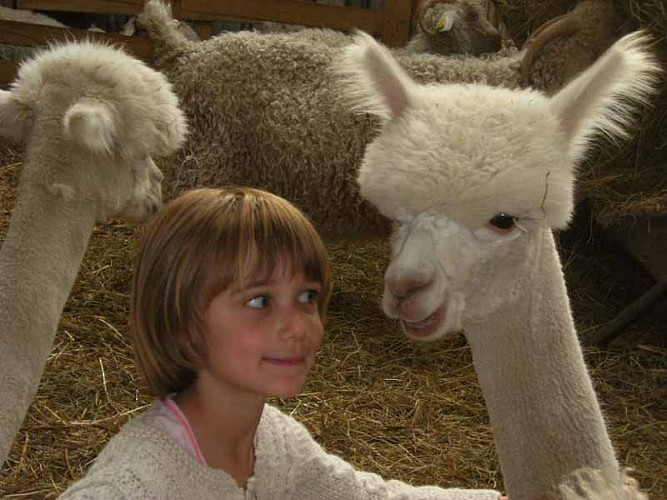 2013_La Baleine_La bas Laines 010