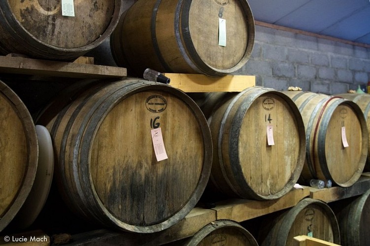 Lemasson Cametour (11)