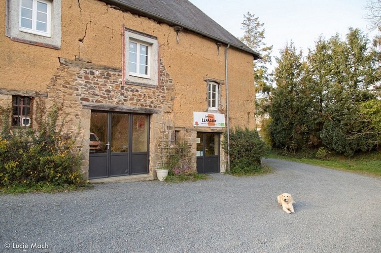 Lemasson Cametour (8)