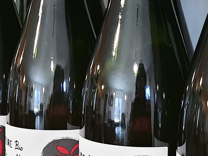 Bricquebosq - cidreri le père mahieu - 4