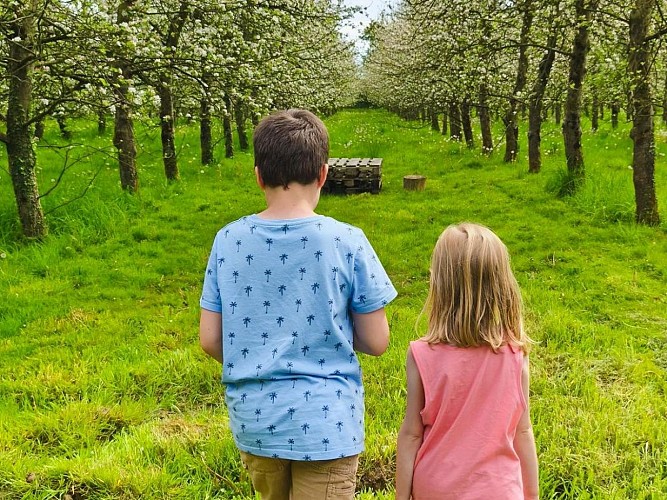 Bricquebosq - cidreri le père mahieu - 2