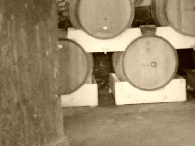 Bricquebosq - cidreri le père mahieu - 8