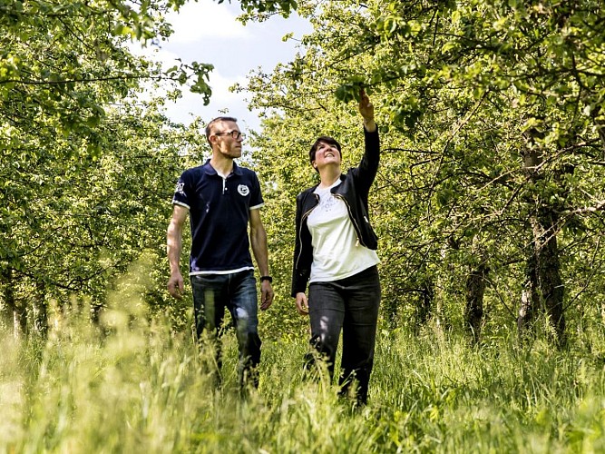 Bricquebosq - cidreri le père mahieu - 1