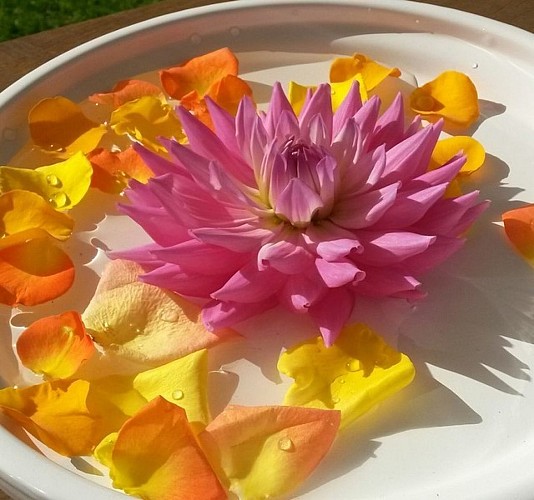 Jardins-en-liberte-10