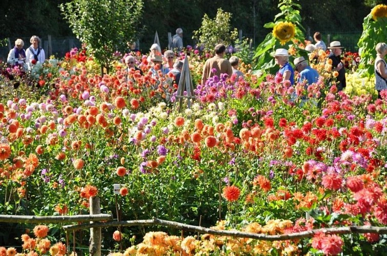 Jardins-en-liberte-5