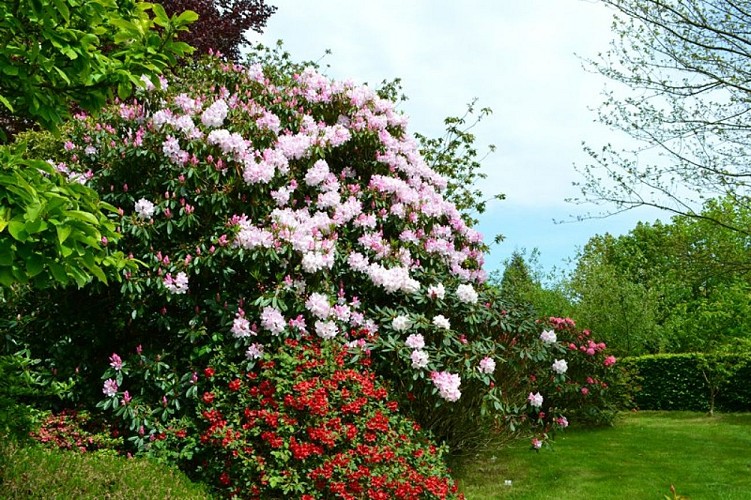 carneville-parc-du-chateau-4