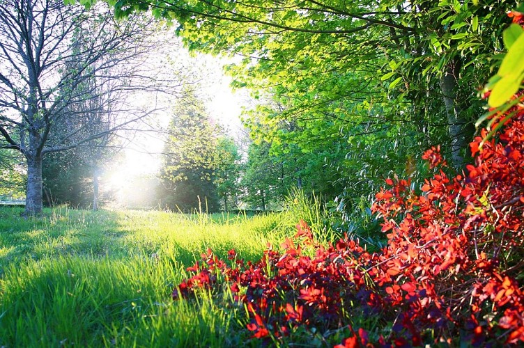 carneville-parc-du-chateau-7