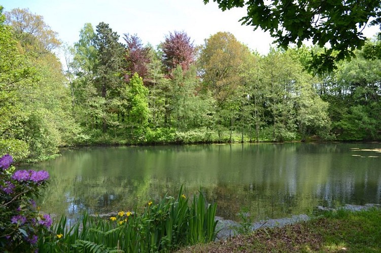 carneville-parc-du-chateau-3