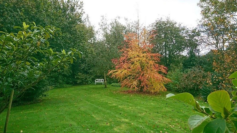helleville-au-phil-du-jardin-7