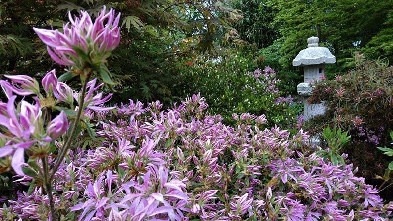 helleville-au-phil-du-jardin-16