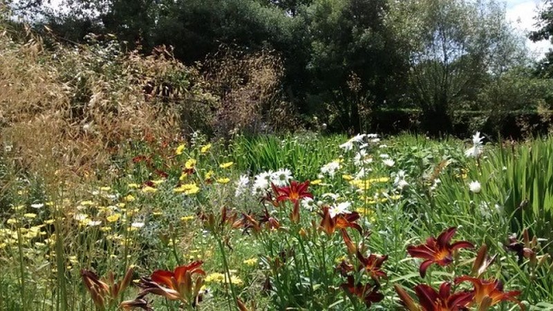 manoir-du-hot-jardin(4)