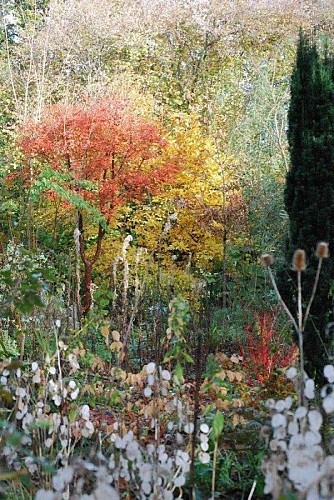 saint-pellerin-jardin-blom-myraland-3